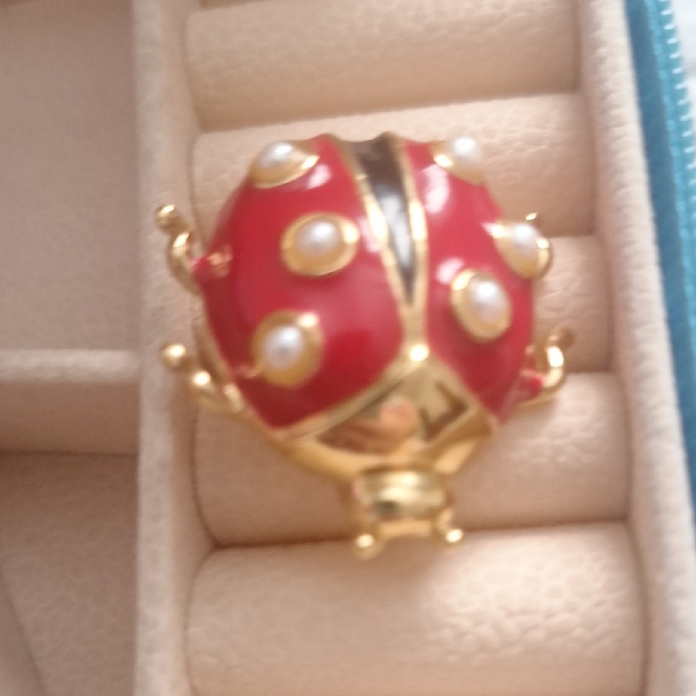 Gold and Red Ladybug Brooch - Picture 3 of 3